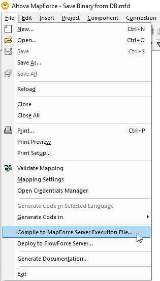 Creating an execution file to automate data mapping binary objects