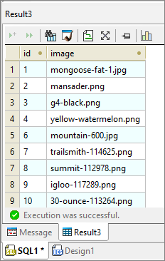 SQL query result for the AI-based Database Image Classification data mapping