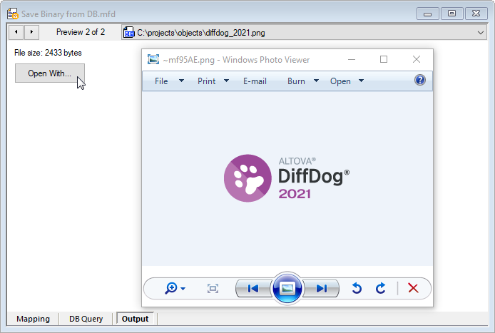 Preview of a binary object extracted from the database