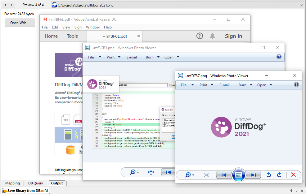 Preview of multiple extracted binary objects