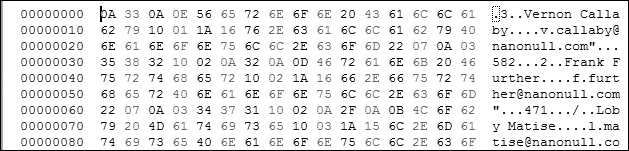 View of binary output created from data mapping protocol buffers